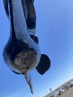 A5523CEC-CDE5-486D-86F4-B44870D28DF1.jpeg