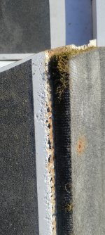 IMG_20250308_170845.jpg