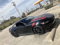 IMG_2792.jpeg