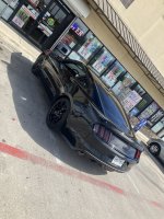IMG_2795.jpeg