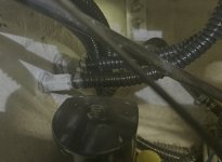 IMG_8069.jpeg