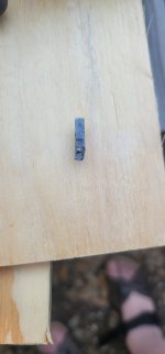 20250426_174404.jpg