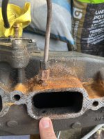 IMG_9785.jpeg