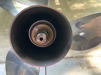 IMG_9893.jpeg
