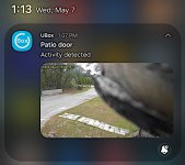 security cam bird visitor.jpg