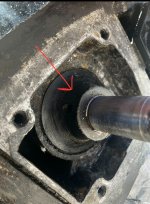 IMG_1806.jpeg