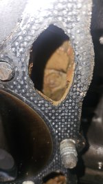 20250612_174556.jpg