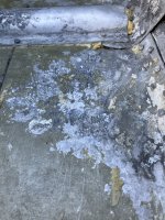 IMG_1185.jpeg