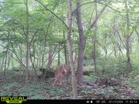 IMG_7083.jpeg