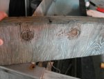rotten wood1.jpg