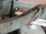 rotten wood2.jpg
