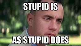 stupid2.jpg