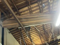 IMG_1369.jpeg