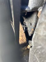 IMG_1122.jpeg