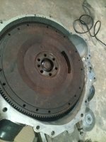 IMG_20250514_200751.jpg