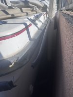 IMG_3050.jpeg