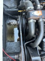 IMG_2893.jpeg