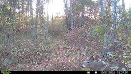 016578002990494-100-4-10072025183701-SYFW00446 (1).jpg