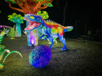 Kaliedasaurus Rex.png