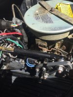 Cobra in reverse.jpg