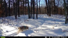 016578002990494-100-4-01252026135513-SYFW00106 (1).jpg