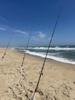 IMG_4051.jpeg