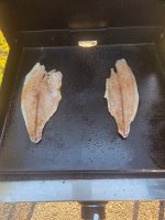 IMG_20260414_182933.jpg