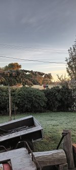 IMG20260423075409.jpg