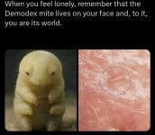1776933069065.jpeg