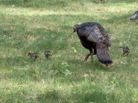 IMG_3153.jpeg