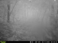 IMG_8178.jpeg