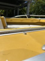 IMG_2608.jpeg