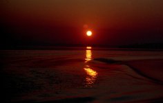 img597a.jpg