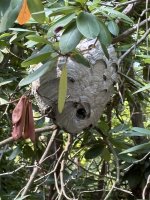 IMG_8298.jpeg
