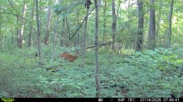IMG_8305.jpeg