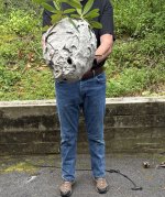 IMG_8316.jpeg