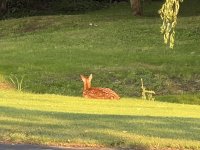 IMG_0940.jpeg