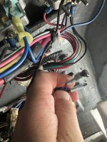IMG_8038.jpeg
