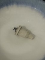 IMG_3944.jpeg
