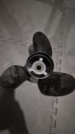 20260803_222132.jpg