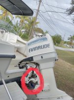 IMG_4259.jpeg
