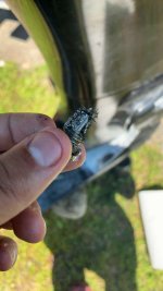 IMG_6920.jpeg