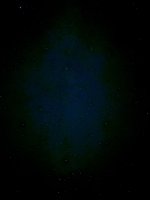 IMG_0332.jpeg