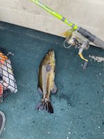 IMG_0436.jpeg