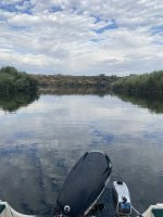 IMG_0441.jpeg