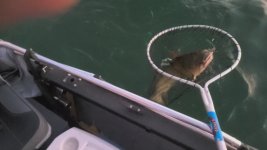 VideoCapture_20260823-073819.jpg
