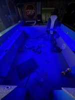 IMG_3974.jpeg
