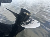 IMG_4228.jpeg