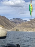 IMG_0623.jpeg