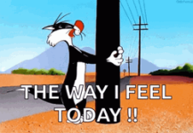 1789648279012.png